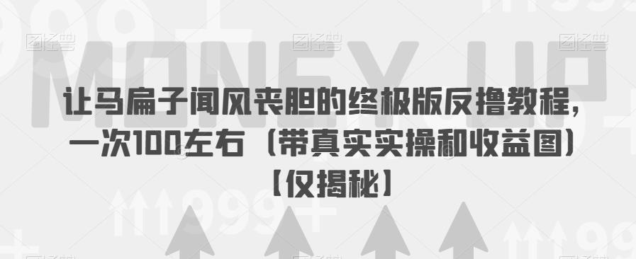 让马扁子闻风丧胆的终极版反撸教程，一次100左右（带真实实操和收益图）【仅揭秘】-闪越社