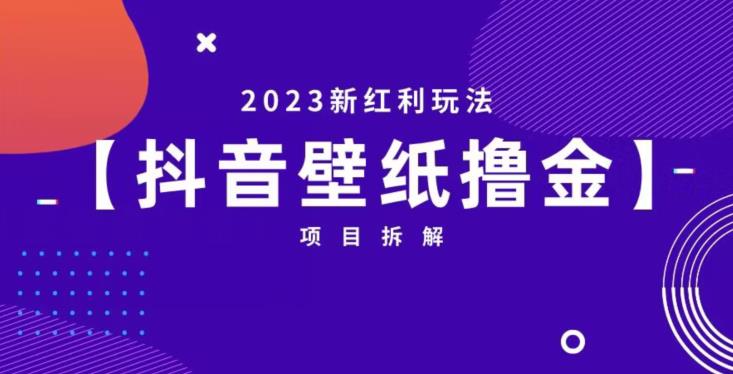 抖音壁纸小程序创作者撸金项目，2023新红利玩法【项目拆解】-闪越社