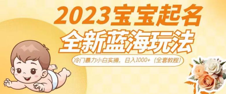 2023宝宝起名全新蓝海玩法，冷门暴力小白实操，日入1000+（全套教程）【揭秘】-闪越社