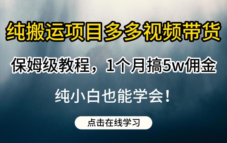 纯搬运项目多多视频带货保姆级教程，1个月搞5w佣金，纯小白也能学会【揭秘】-闪越社