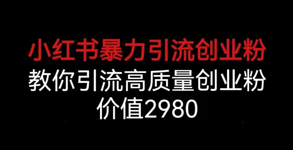 小红书暴力引流创业粉，教你引流高质量创业粉，价值2980【揭秘】-闪越社