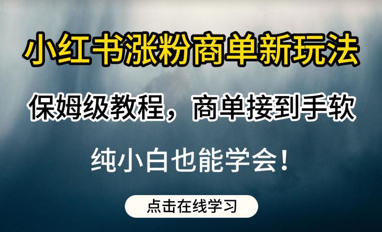 小红书涨粉商单新玩法，保姆级教程，商单接到手软，纯小白也能学会【揭秘】-闪越社