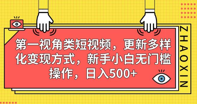 第一视角类短视频，更新多样化变现方式，新手小白无门槛操作，日入500+【揭秘】-闪越社