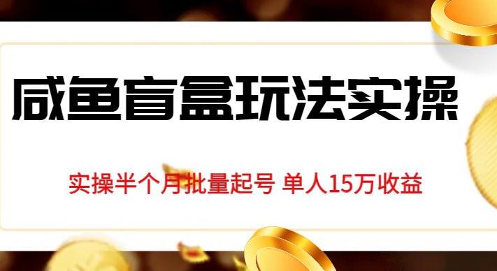 独家首发咸鱼盲盒玩法实操，半个月批量起号单人15万收益【揭秘】-闪越社