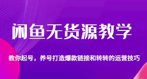 闲鱼无货源教学，教你起号，养号打造爆款链接以及转转的运营技巧-闪越社