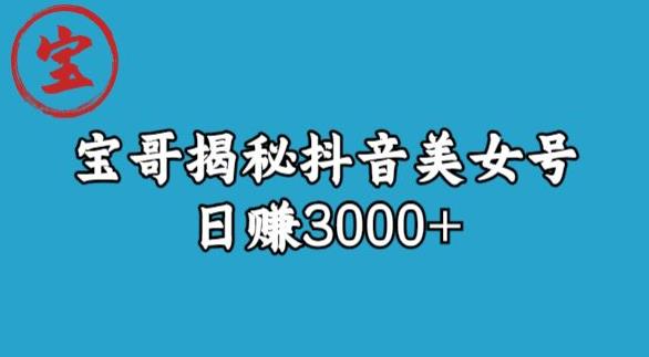 宝哥揭秘抖音美女号玩法，日赚3000+【揭秘】-闪越社