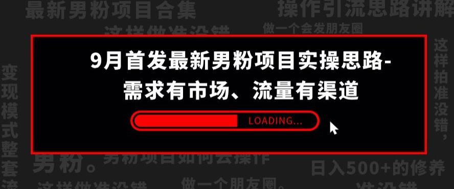 9月首发最新男粉项目实操思路-需求有市场，流量有渠道【揭秘】-闪越社