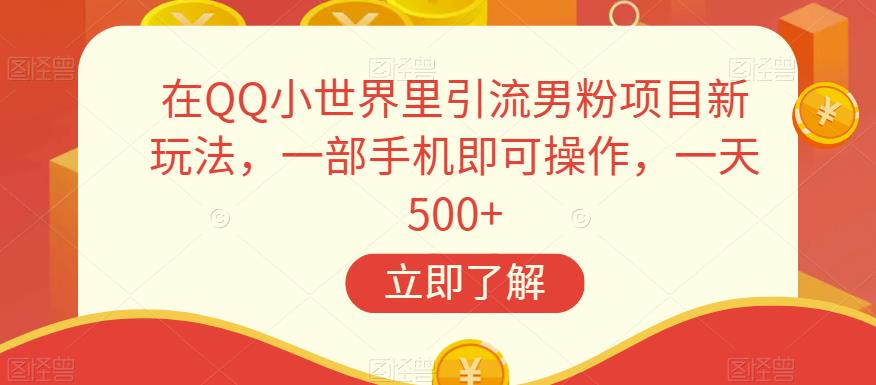 在QQ小世界里引流男粉项目新玩法，一部手机即可操作，一天500+【揭秘】-闪越社