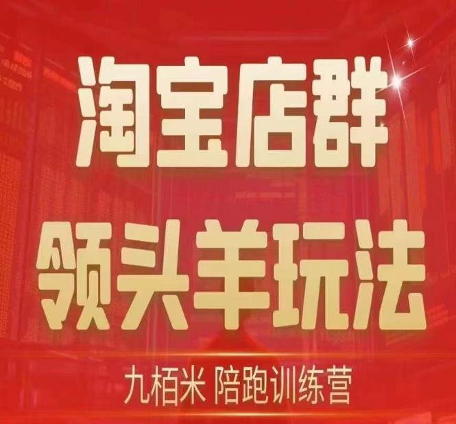 九栢米-淘宝店群领头羊玩法，教你整个淘宝店群领头羊玩法以及精细化/终极蓝海/尾销等内容-闪越社