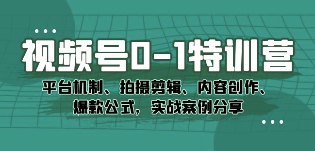 视频号0-1特训营：平台机制、拍摄剪辑、内容创作、爆款公式，实战案例分享-闪越社