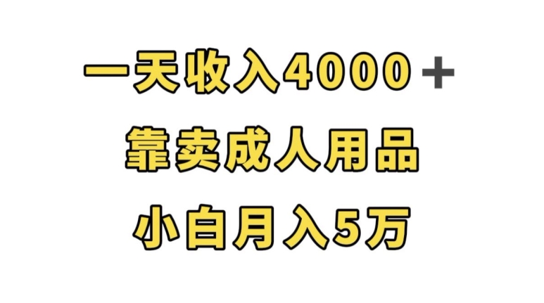 一天收入4000+，靠卖成人用品，小白轻松月入5万【揭秘】-闪越社