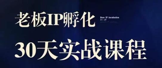 诸葛·2023老板IP实战课，实体同城引流获客，IP孵化必听-闪越社