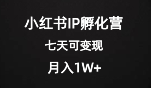 价值2000+的小红书IP孵化营项目，超级大蓝海，七天即可开始变现，稳定月入1W+-闪越社