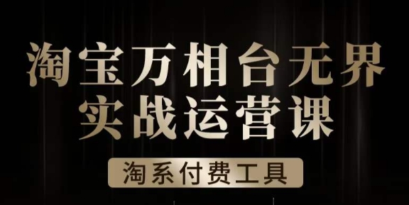 沧海·淘系万相台无界实战运营课，万相台无界实操全案例解析-闪越社