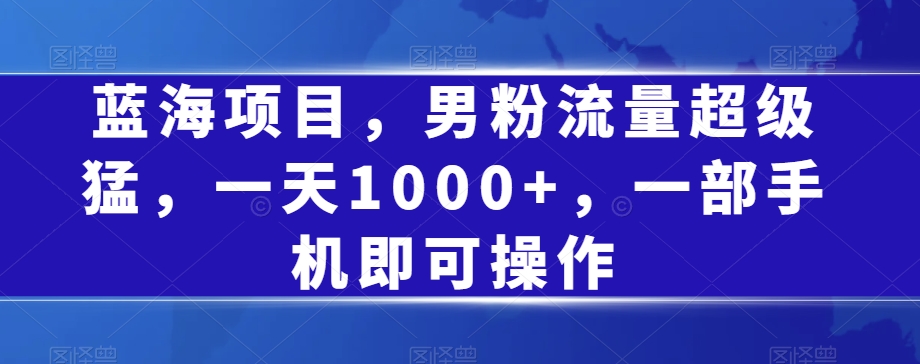 蓝海项目，男粉流量超级猛，一天1000+，一部手机即可操作【揭秘】-闪越社