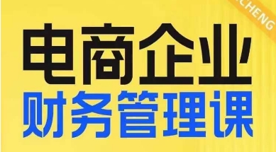 电商企业财务管理线上课，为电商企业规划财税-闪越社