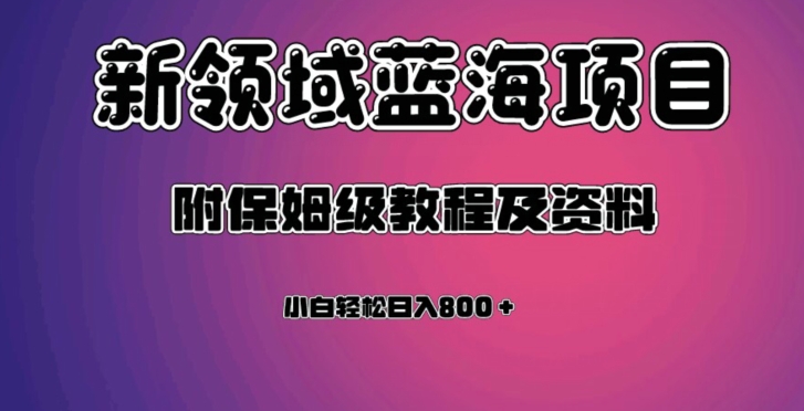 虚拟资源蓝海领域新项目，轻松日入800＋，附保姆级教程及资料-闪越社