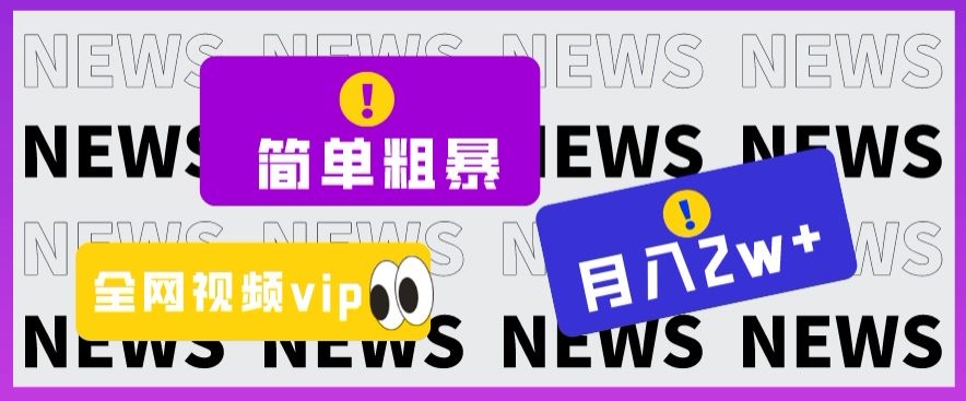 简单粗暴零成本，高回报，全网视频VIP掘金项目，月入2万＋【揭秘】-闪越社