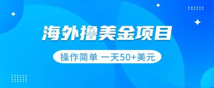 撸美金项目无门槛操作简单小白一天50+美刀-闪越社