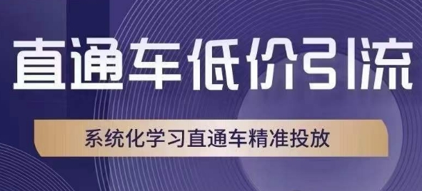 直通车低价引流课，系统化学习直通车精准投放-闪越社