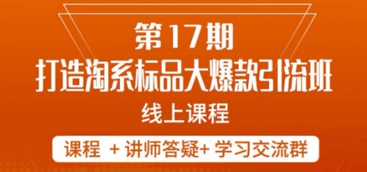 南掌柜-第17期打造淘系标品大爆款，5天线上课-闪越社