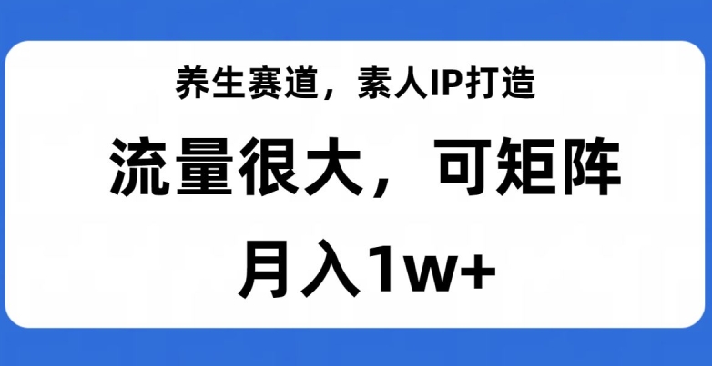 养生赛道，素人IP打造，流量很大，可矩阵，月入1w+【揭秘】-闪越社