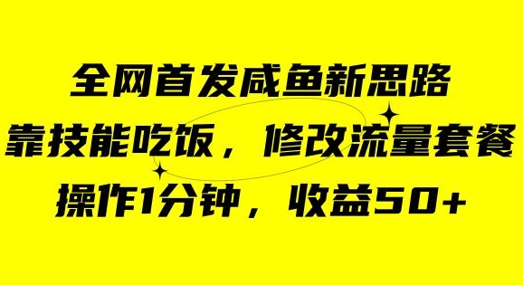 咸鱼冷门新玩法，靠“技能吃饭”，修改流量套餐，操作1分钟，收益50【揭秘】-闪越社