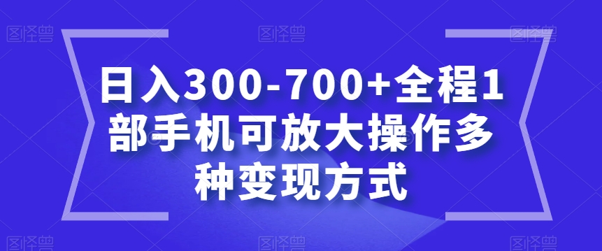 日入300-700+全程1部手机可放大操作多种变现方式【揭秘】-闪越社