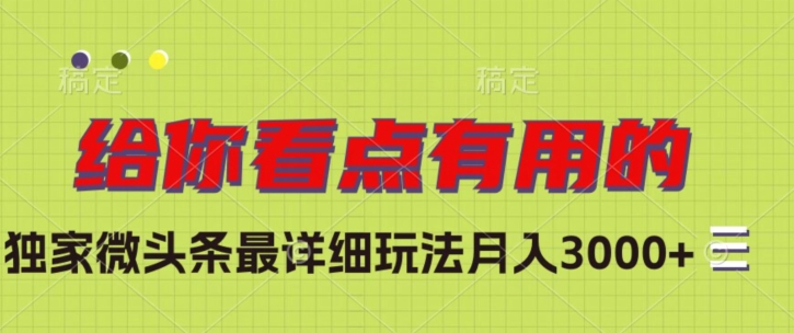 独家微头条最详细玩法，月入3000+【揭秘】-闪越社