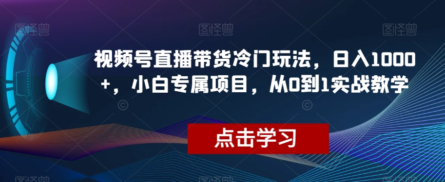 视频号直播带货冷门玩法，日入1000+，小白专属项目，从0到1实战教学【揭秘】-闪越社