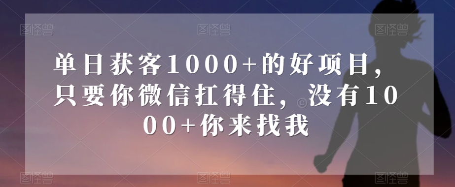 单日获客1000+的好项目，只要你微信扛得住，没有1000+你来找我【揭秘】-闪越社