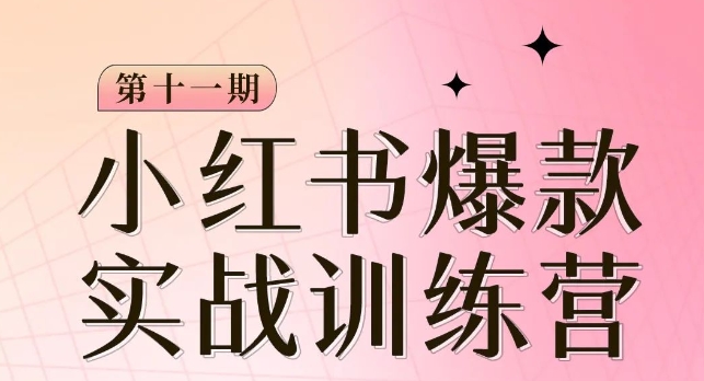 小红书博主爆款训练营第11期，手把手教你从0-1做小红书，从定位到起号到变现-闪越社