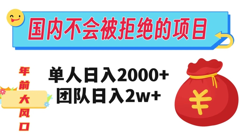 在国内不怕被拒绝的项目，单人日入2000，团队日入20000+【揭秘】-闪越社