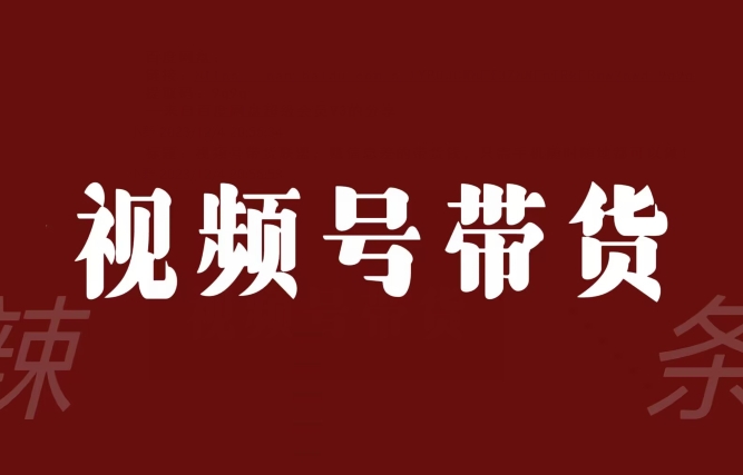 视频号带货联盟，赚信息差的带货钱，只需手机随时随地都可以做！-闪越社