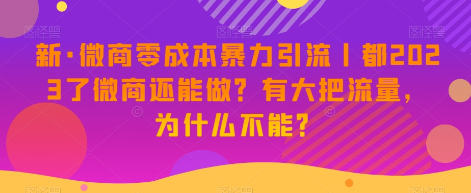 新·微商零成本暴力引流丨都2023了微商还能做？有大把流量，为什么不能？-闪越社