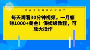 每天观看30分钟视频，一月躺赚1000+美金！保姆级教程，可放大操作【揭秘】-闪越社