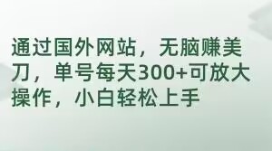 通过国外网站，无脑赚美刀，单号每天300+可放大操作，小白轻松上手【揭秘】-闪越社