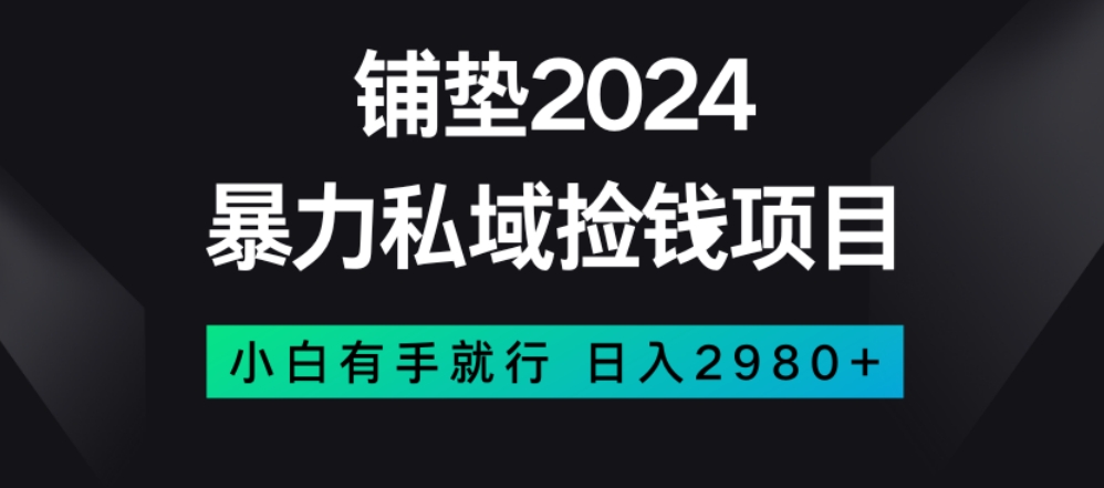 暴力私域捡钱项目，小白无脑操作，日入2980【揭秘】-闪越社