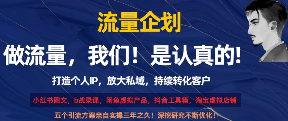 流量企划，打造个人IP，放大私域，持续转化客户【揭秘】-闪越社