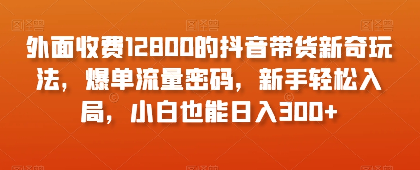 外面收费12800的抖音带货新奇玩法，爆单流量密码，新手轻松入局，小白也能日入300+【揭秘】-闪越社