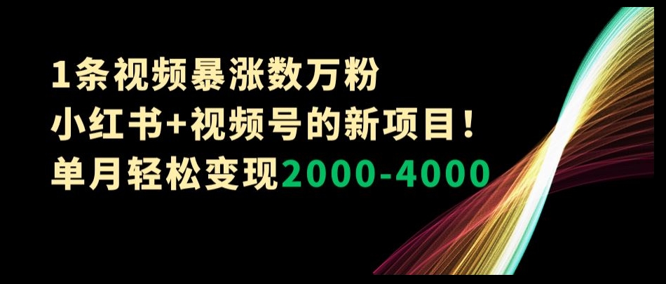 1条视频暴涨数万粉–小红书+视频号的新项目！单月轻松变现2000-4000【揭秘】-闪越社