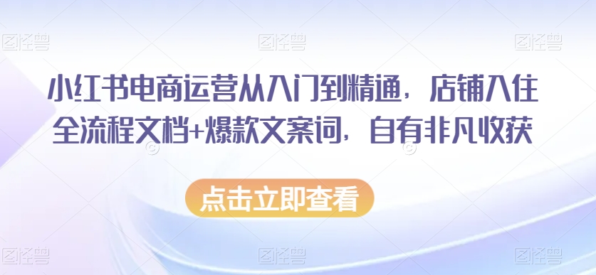 小红书电商运营从入门到精通，店铺入住全流程文档+爆款文案词，自有非凡收获-闪越社