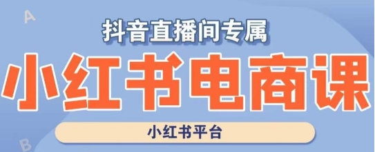 小红书电商高级运营课程，实操教学+案例分析-闪越社