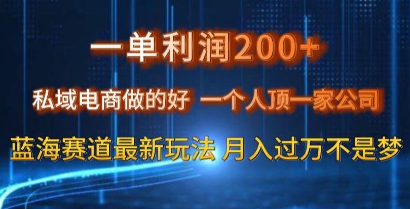 一单利润200私域电商做的好，一个人顶一家公司蓝海赛道最新玩法【揭秘】-闪越社