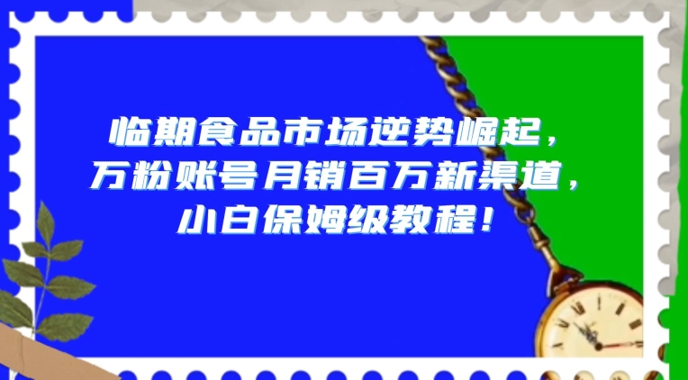 临期食品市场逆势崛起，万粉账号月销百万新渠道，小白保姆级教程【揭秘】-闪越社