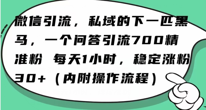 怎么搞精准创业粉？微信新赛道，每天一小时，利用Ai一个问答日引100精准粉-闪越社