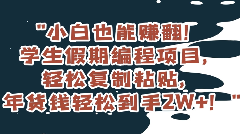 小白也能赚翻！学生假期编程项目，轻松复制粘贴，年货钱轻松到手2W+【揭秘】-闪越社