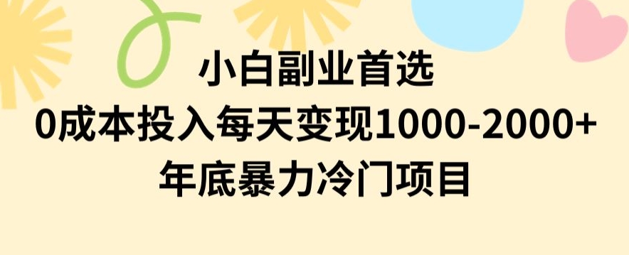 小白副业首选，0成本投入，每天变现1000-2000年底暴力冷门项目【揭秘】-闪越社