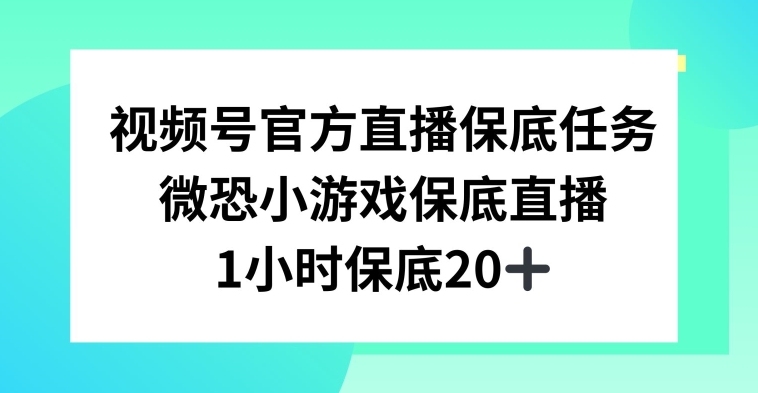 视频号直播任务，微恐小游戏，1小时20+【揭秘】-闪越社