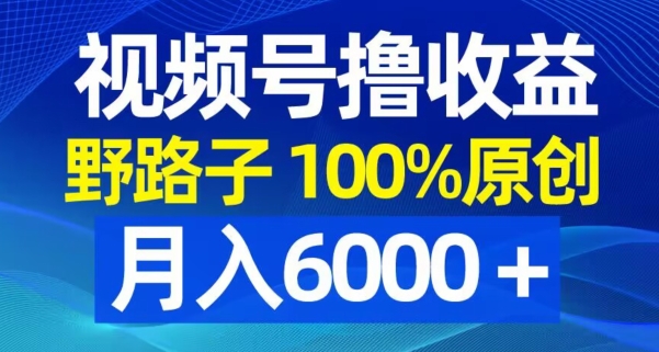 视频号野路子撸收益，100%原创，条条爆款，月入6000＋【揭秘】-闪越社